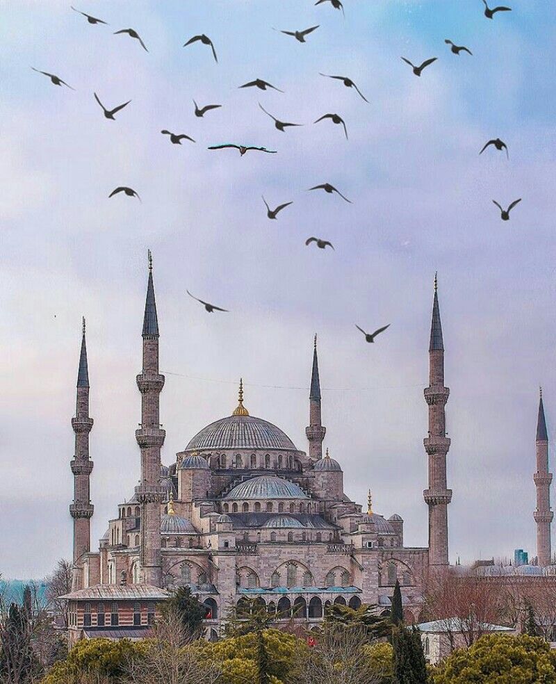 مسجد-آبی